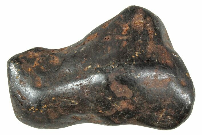 Canyon Diablo Iron Meteorite ( g) - Arizona #243153